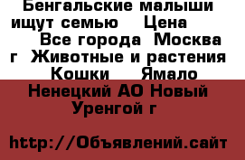 Бенгальские малыши ищут семью) › Цена ­ 5 500 - Все города, Москва г. Животные и растения » Кошки   . Ямало-Ненецкий АО,Новый Уренгой г.